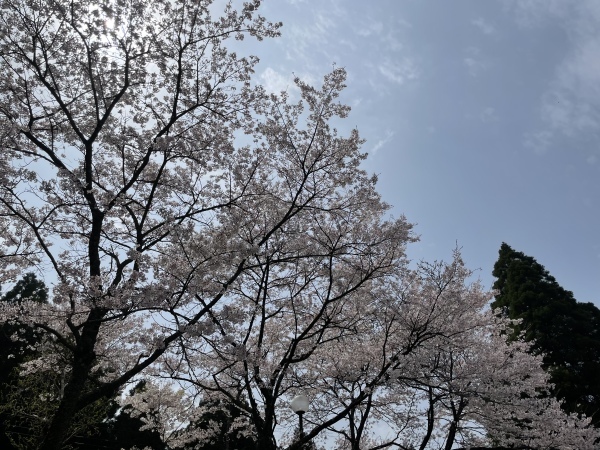 阿蘇大橋が開通!自然の恐ろしさ! 2021.3.30_b0002156_17344999.jpeg