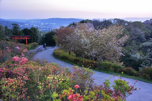 新緑と桜と三日月　　明神山_c0303868_09414722.jpg