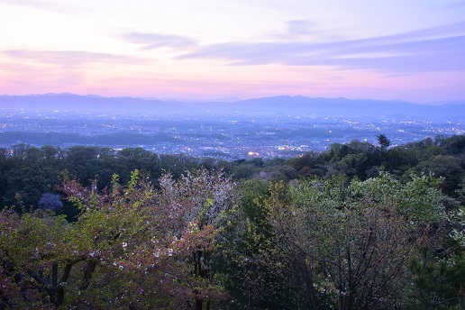 新緑と桜と三日月　　明神山_c0303868_09420582.jpg