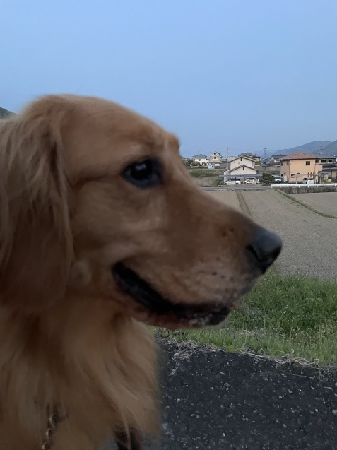 ついに、始動。_a0394574_23105740.jpeg