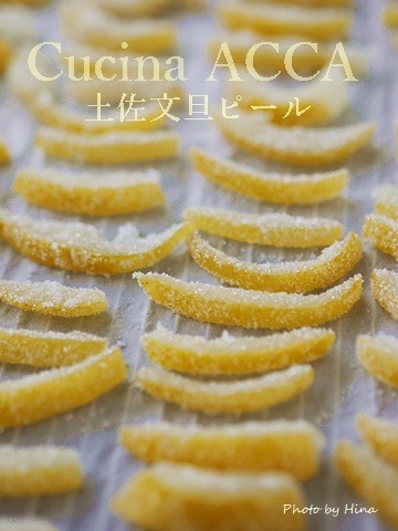 土佐文旦ピール_f0245680_14180246.jpg