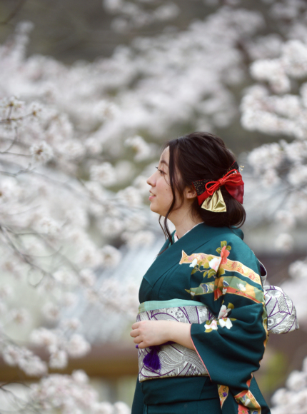 桜の木の下撮影が一番にいい感じで出来たのは....._b0194185_18143956.jpg