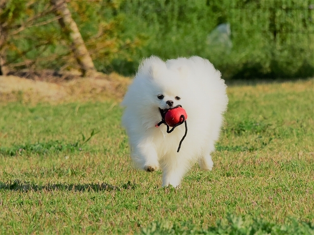 いつでもハイテンション!_d0360206_22475665.jpg