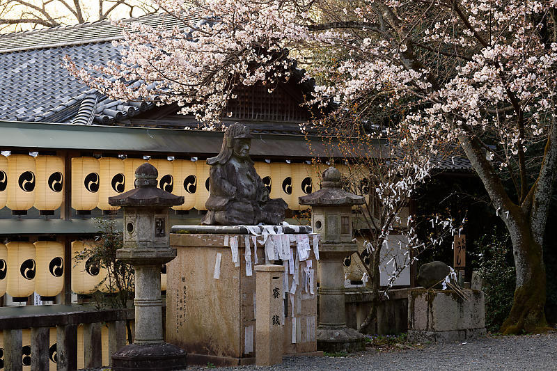 2021桜巡り 枝垂れ桜@大石神社_f0032011_19521278.jpg