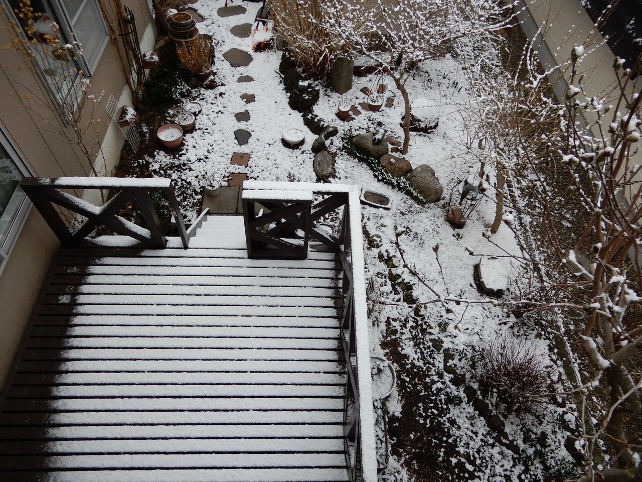 朝だけ戻ってきた冬景色_c0025115_21262258.jpg