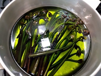 タケノコ旬です_f0129726_21311897.jpg
