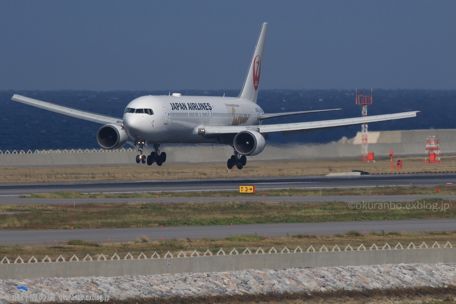 慎重な着陸態勢 67 日本航空 Jl 飛行機の虜