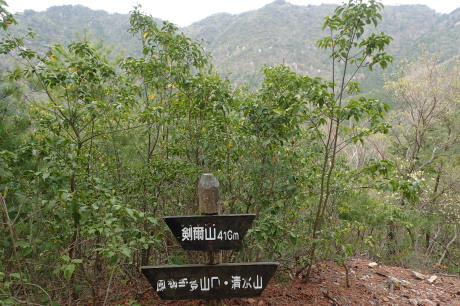 ヒカゲツツジのトンネルを歩こう『丹波 向山』_c0218841_15462401.jpg
