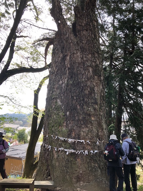 白州台ケ原の魅力_f0019247_12193175.jpg