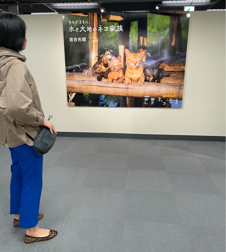2021年京都旅③　いつもの余志屋さん_b0228252_15532963.jpg