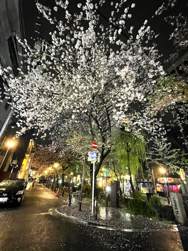 2021年京都旅③　いつもの余志屋さん_b0228252_15533511.jpg