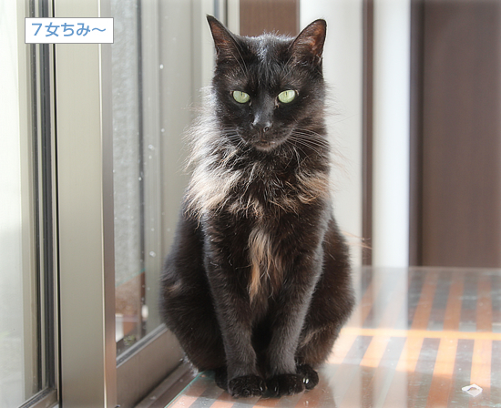最高のひなたぼっこ_a0389088_16450124.jpg