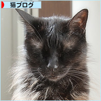 最高のひなたぼっこ_a0389088_16450234.jpg