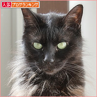 最高のひなたぼっこ_a0389088_16450256.jpg