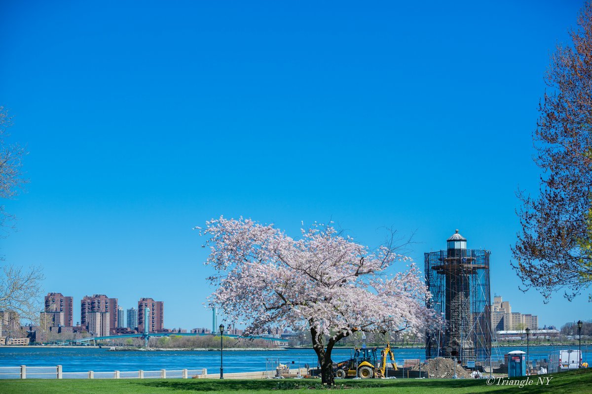 北の1本桜 2021_a0274805_12114253.jpg