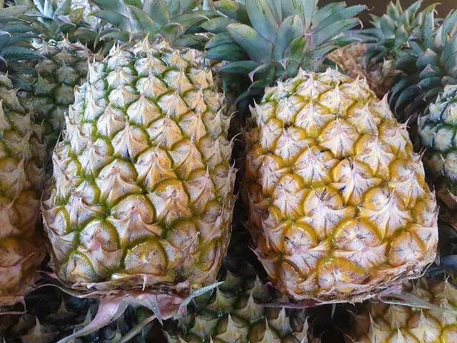 台湾の果物のプロに聞いてきました 美味しい台湾パイナップルの選び方 メイフェの幸せ 美味しいいっぱい In 台湾