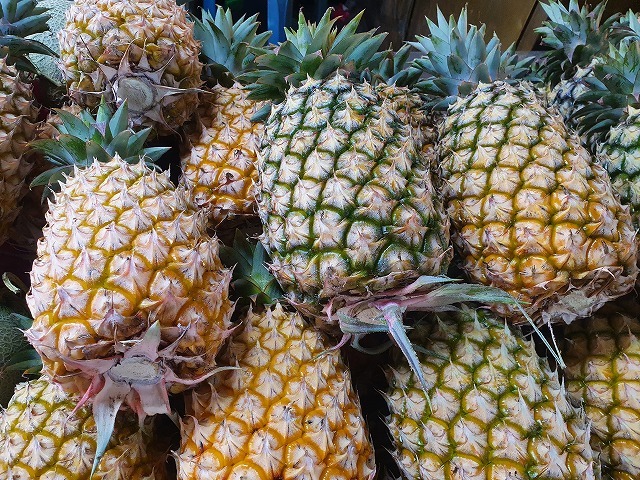 台湾の果物のプロに聞いてきました 美味しい台湾パイナップルの選び方 メイフェの幸せ 美味しいいっぱい In 台湾