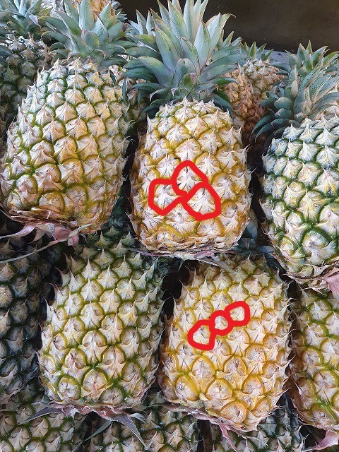 台湾の果物のプロに聞いてきました 美味しい台湾パイナップルの選び方 メイフェの幸せ 美味しいいっぱい In 台湾