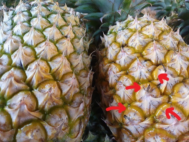 台湾の果物のプロに聞いてきました 美味しい台湾パイナップルの選び方 メイフェの幸せ 美味しいいっぱい In 台湾