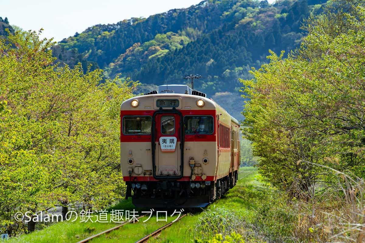 いすみ鉄道へ_f0229311_19080714.jpg