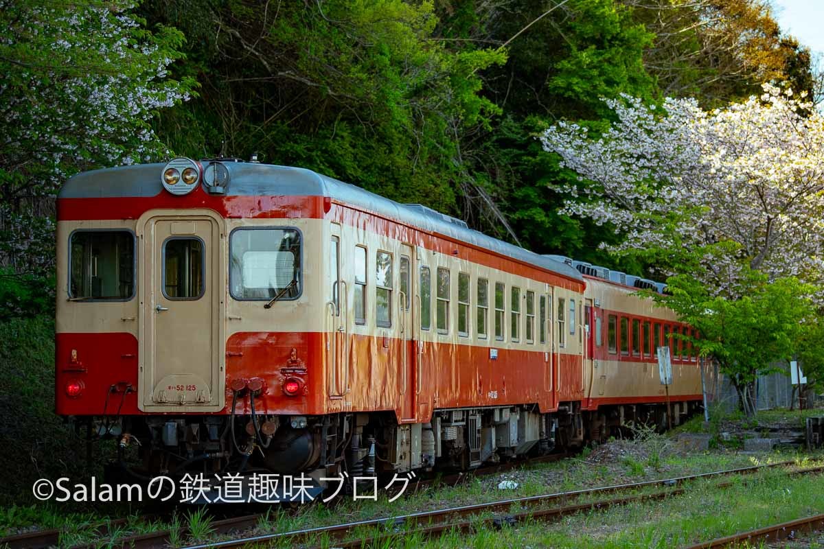 いすみ鉄道へ_f0229311_19091874.jpg