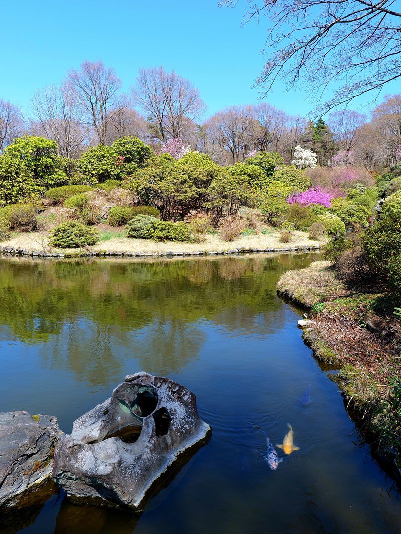 春の色彩が華やかになって来た!・・・4月7日赤城自然園アラカルト_a0031821_12374130.jpg