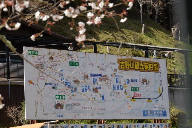 吉野山の桜 Rurugardenと音符たち 吉野山の桜 Rurugardenと音符たち