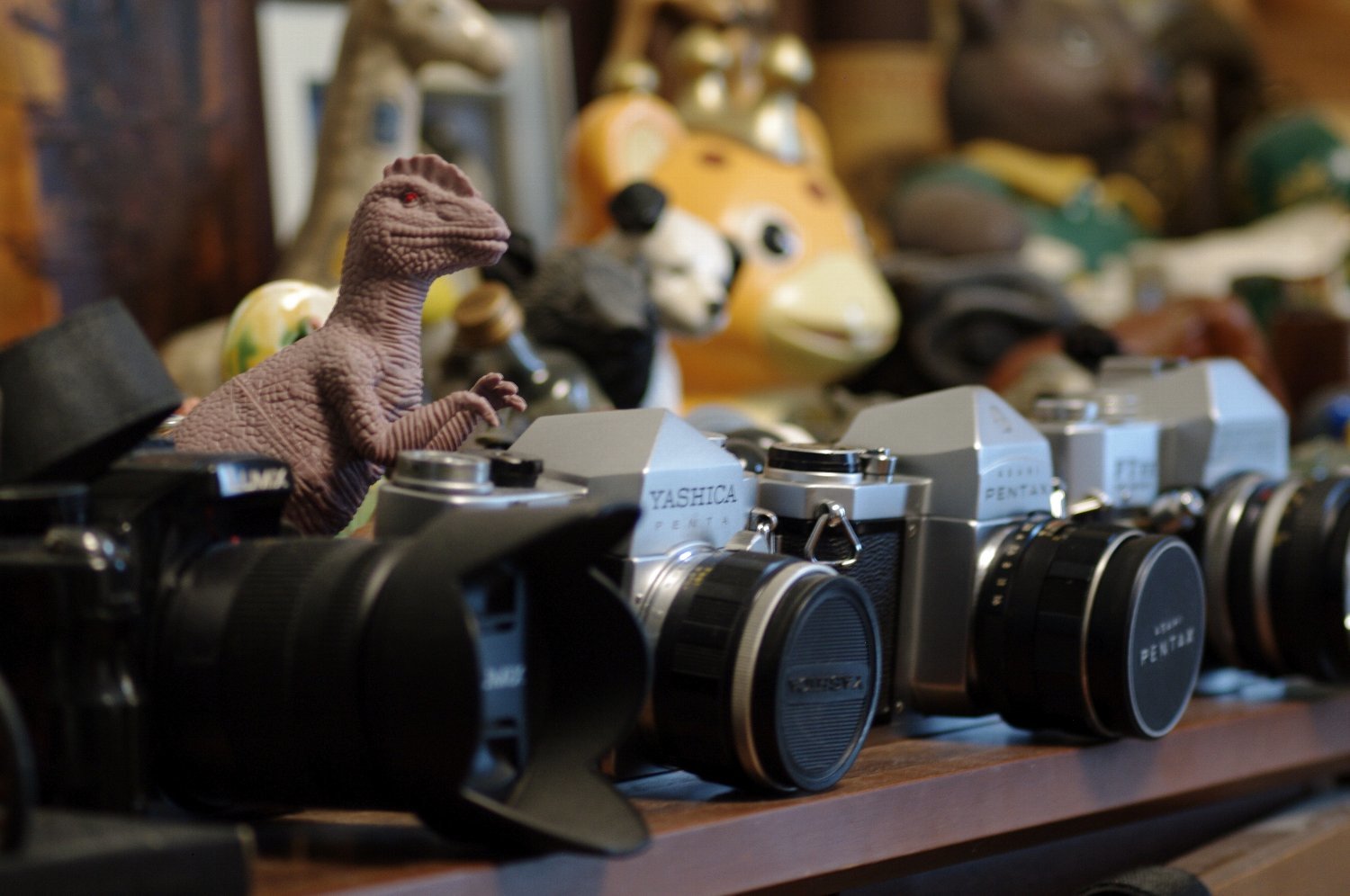 Cosmicar製 Pentax-F Zoom 70-200mm F4-5.6 で : nakajima