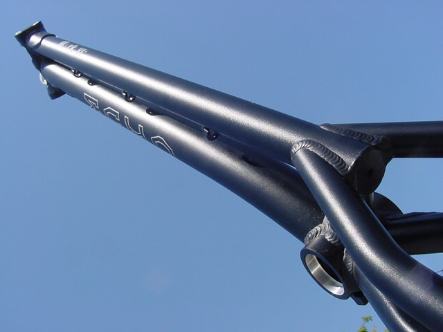 自転車本体 ECHO MARK6 Plus ECHO MARK6 PLUS トライアルバイク IKKEI BIKE WORKS