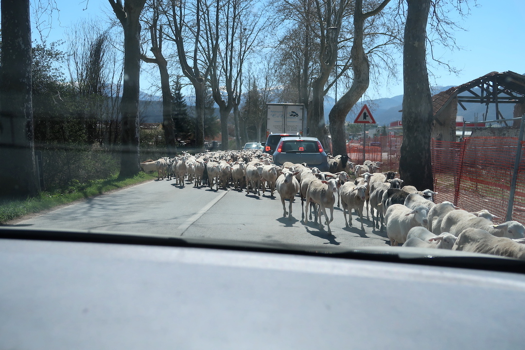羊・馬のんびり道路にノルチャ・カステッルッチョ_f0234936_21482094.jpg