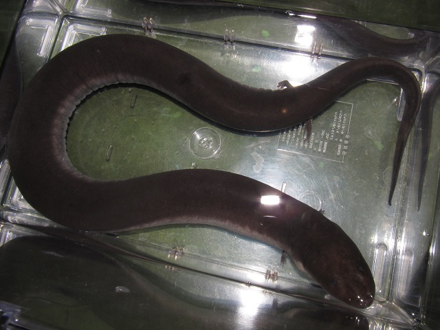 春本番!_b0174337_01174104.jpg