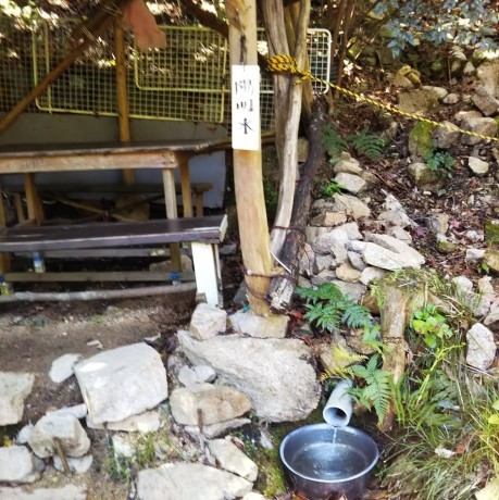 芦屋・道畔谷南尾根_c0218841_19340189.jpg