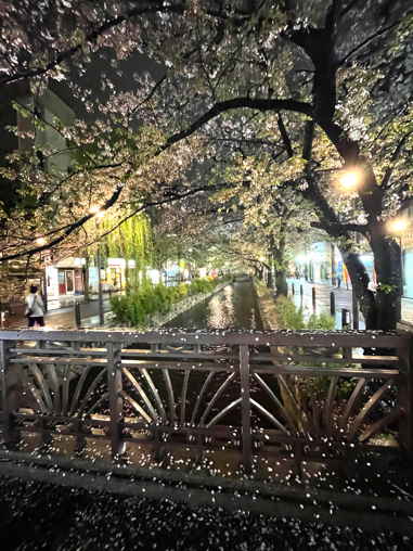 2021年京都旅③　いつもの余志屋さん_b0228252_18441343.jpg