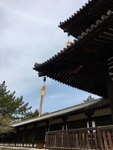 斑鳩の里たより_b0153663_17533385.jpeg