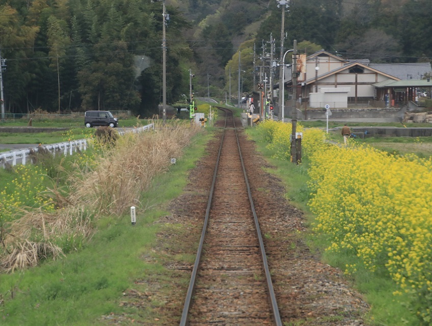 2021年　樽見鉄道　薄墨サクラを見る旅　_d0202264_08400826.jpg