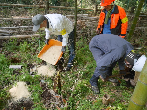 神奈川県有竹林に堆肥と米ぬか4・8六国見山手入れ（上）_c0014967_06144244.jpg