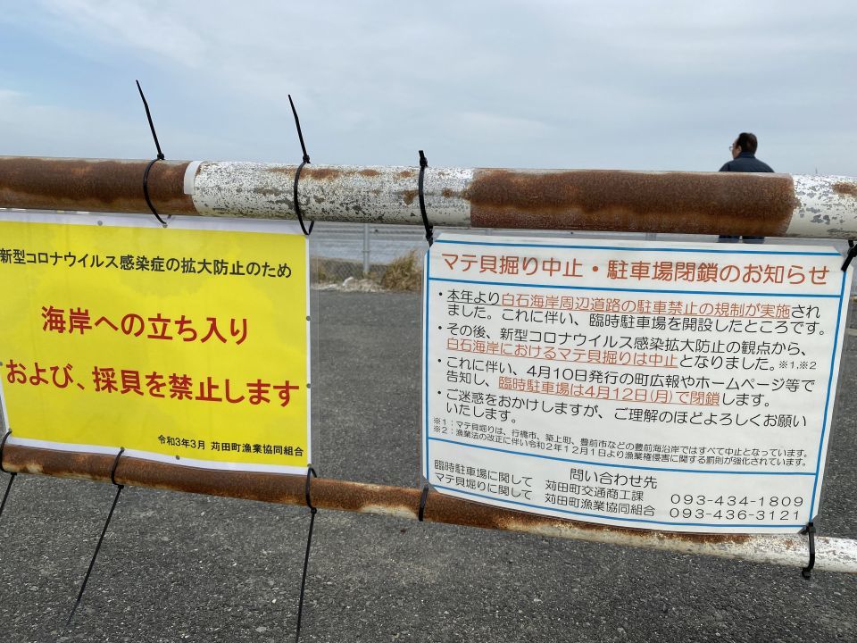 今年もなんとか採れました きょうも一日いい天気