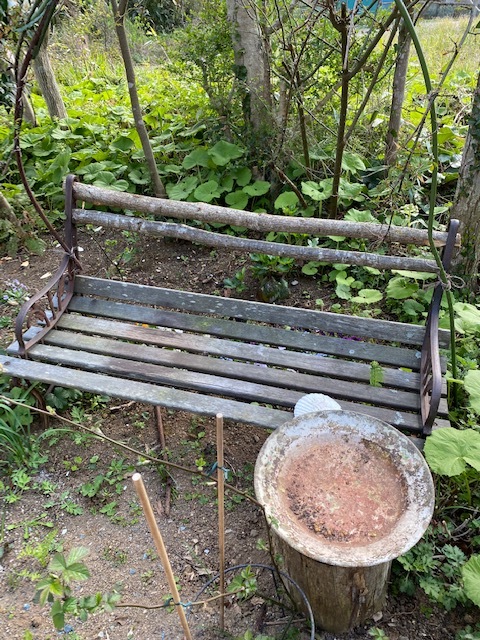 絶賛・・・炎上中_b0396150_07502650.jpg