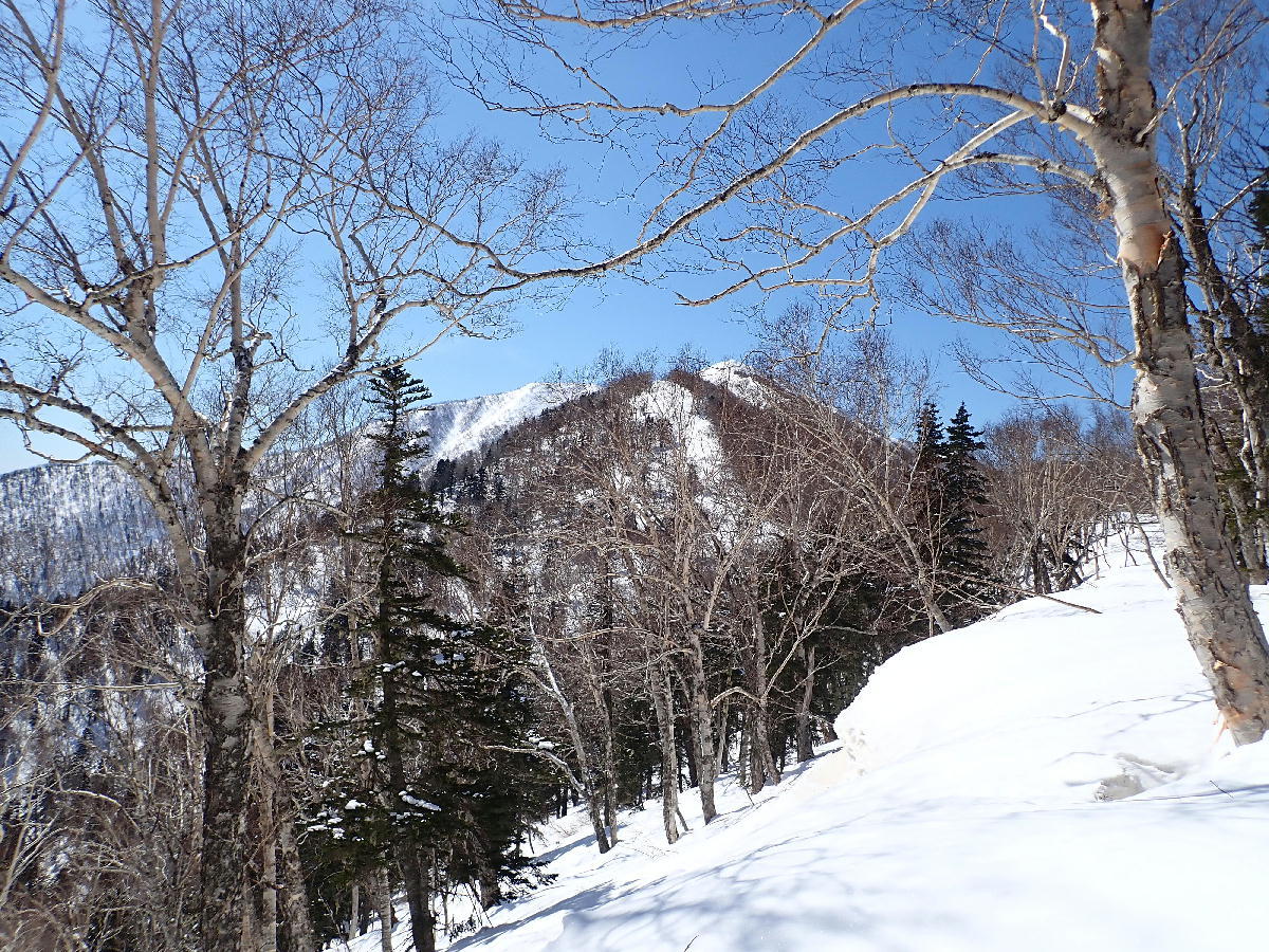 十勝幌尻岳1846m～前編　2021.04.10_e0352951_16392683.jpg