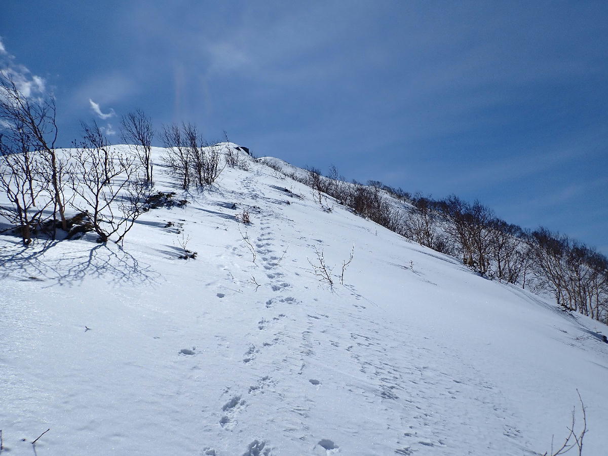 十勝幌尻岳1846m～前編　2021.04.10_e0352951_16503410.jpg