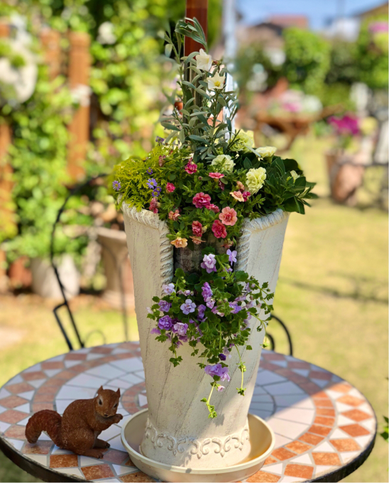 お迎えしたお花で寄せ植え作り 薪割りマコのバラの庭