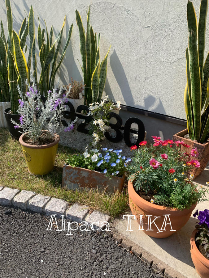 「T\'IKAの夏ふく」より おすすめのコットンシルク三角スカート_d0187468_16113380.jpg