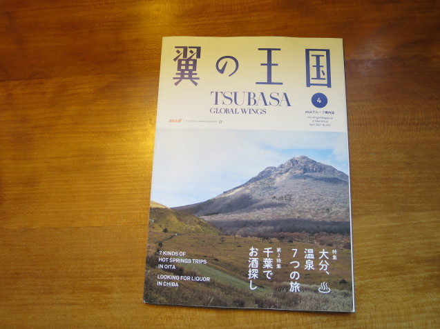 「翼の王国」リニューアル_c0402074_11532281.jpg