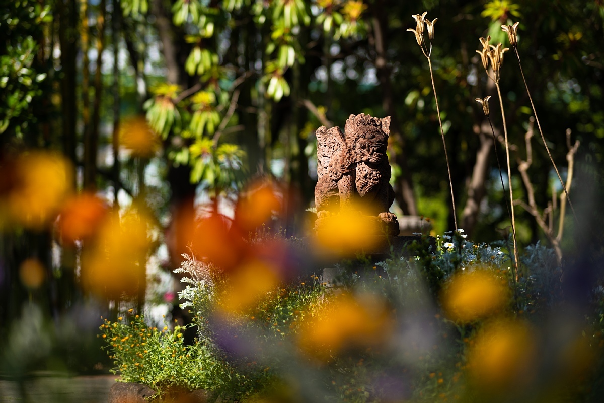 百花繚乱の都市公園_d0353489_22490742.jpg