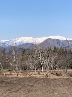 4月12日 月曜日 晴天 14度_f0210811_11202546.jpg