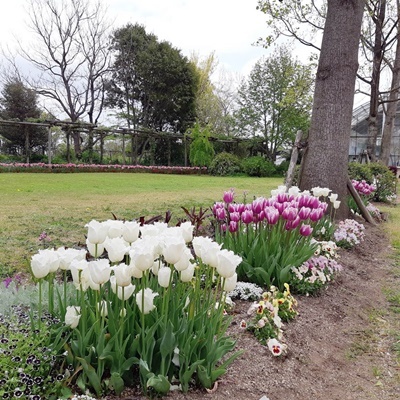 竹林ウォーキング_f0129726_18480435.jpg