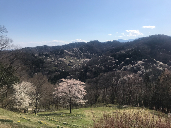 桜のある風景　池田町編♪_d0314745_13464579.jpg