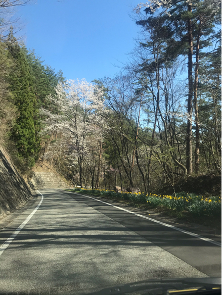 桜のある風景　池田町編♪_d0314745_13472495.jpg