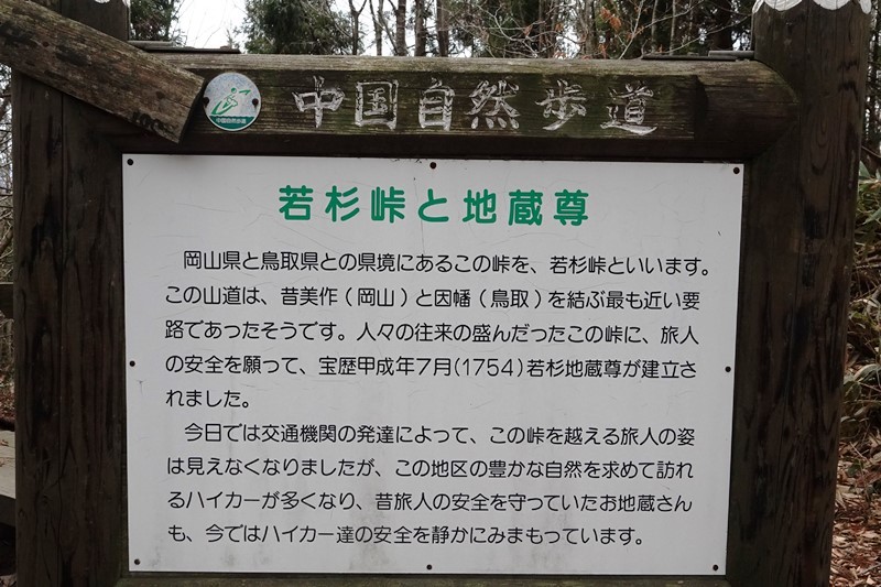 若杉天然林_b0227552_19533102.jpg
