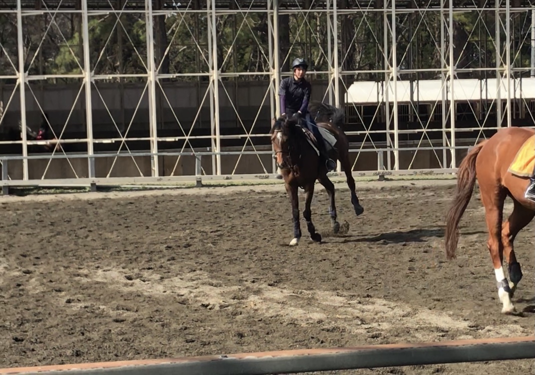 Box アジア 韓国 店 Ii Blu Ray ぐるぐる王国 Blu Ray Blu Ray Box トンイ 高品質一番